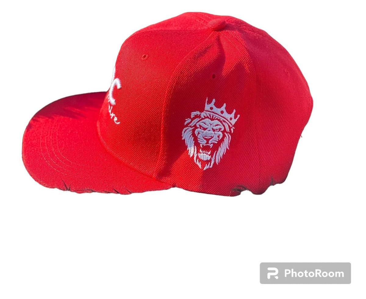 PBC Billionaire Logo Snap Back - Hat