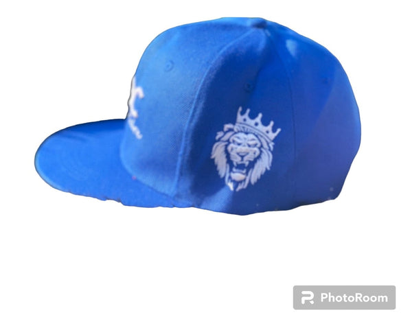 PBC Billionaire Logo Snap Back - Hat