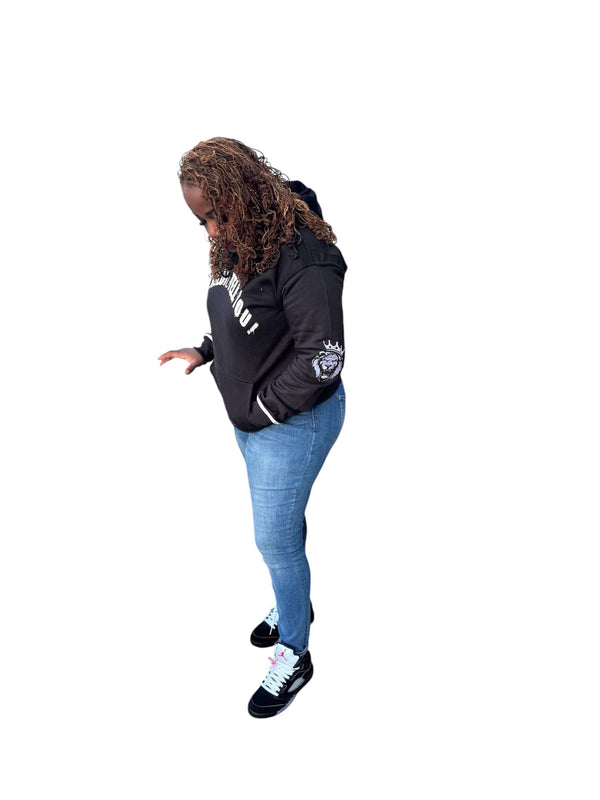 Unisex We tried to tell you hoddie